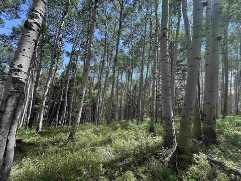 583 Crest Drive, Cimarron, CO 81220