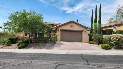 11737 Feinberg Place, Las Vegas, NV 89138