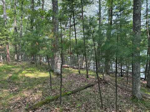 Lot 1 THUNDER HILL LN, Saint Germain, WI 54558