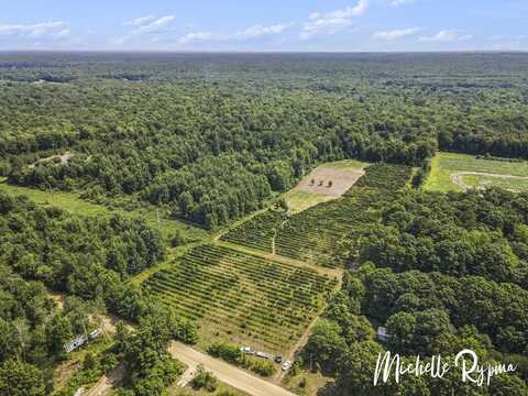 39 Acres 55th Street, Pullman, MI 49450