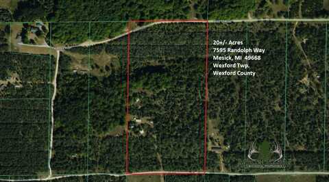 7595 Randolph Way, Mesick, MI 49668