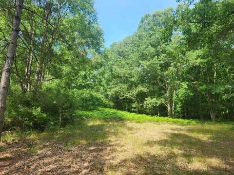 7373 S Riverbend Road, Branch, MI 49402