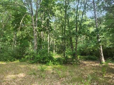 7354 S Riverbend Road, Branch, MI 49402