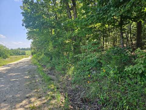 000 Mount Olive Road, Mountain View, MO 65548