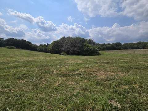 000 Highway 181, Cabool, MO 65689
