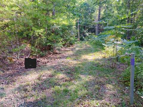 0 Rivendell Lane, Tellico Plains, TN 37385