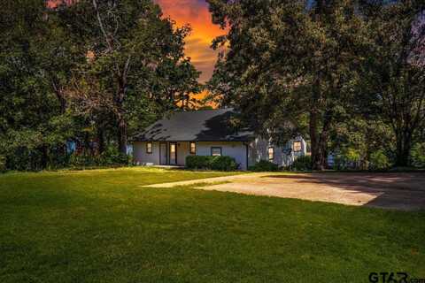 20009 SOUTHSIDE CIR, Winona, TX 75792