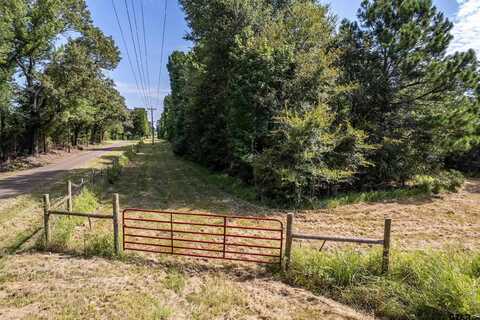 TBD CR 2115, Troup, TX 75789