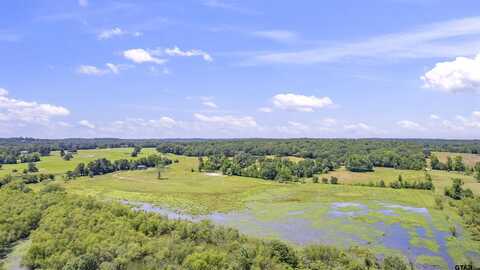 12250 CR 3513, Brownsboro, TX 75756