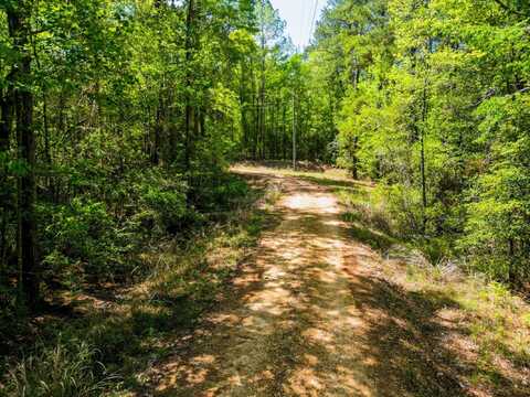 15+/- Acre Rockhill Rd., Purvis, MS 39475