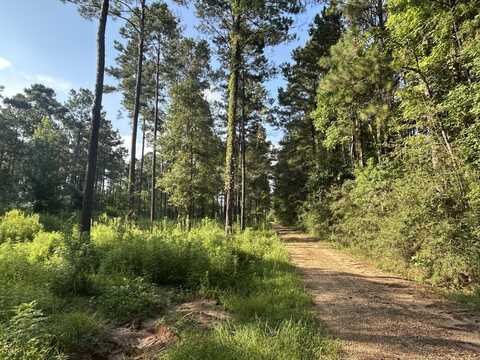 64 Dewey Smith Rd., Lumberton, MS 39455