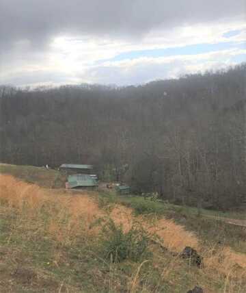 11 ACRES SPRING BRANCH, WAYNE, WV 25570