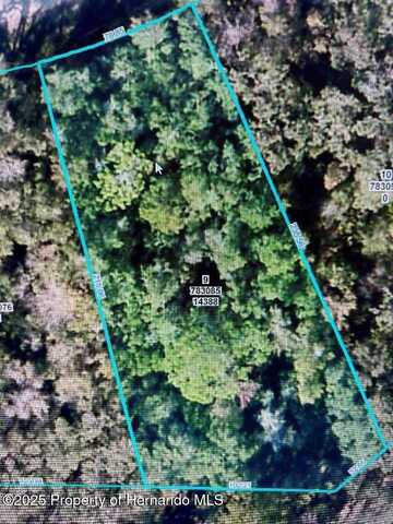 14388 Chimney Swift Road, Brooksville, FL 34614