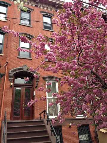 133 WAYNE ST, JC, Downtown, NJ 07302