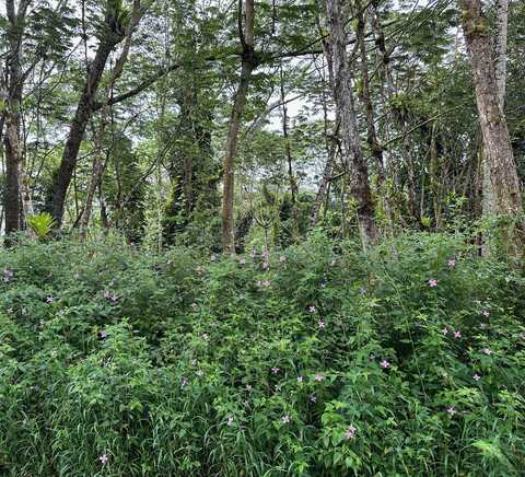 ALA OHIA ST, Volcano, HI 96785