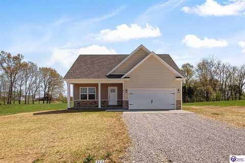 193 Brinlee Drive, Guston, KY 40142