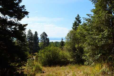 5 Tamarack Trail, Donnelly, ID 83615