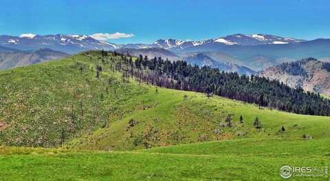 7 Meadow Mountain Dr, Livermore, CO 80536