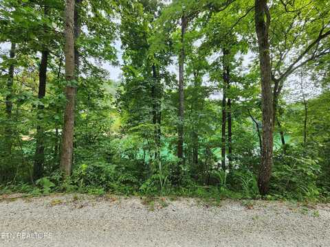 Carp Lane, La Follette, TN 37766