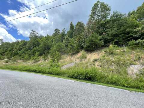 Lot 672 Chimney Rock Rd, New Tazewell, TN 37825