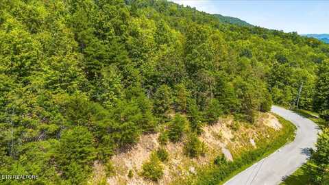 Lot 673 Chimney Rock Rd, New Tazewell, TN 37825