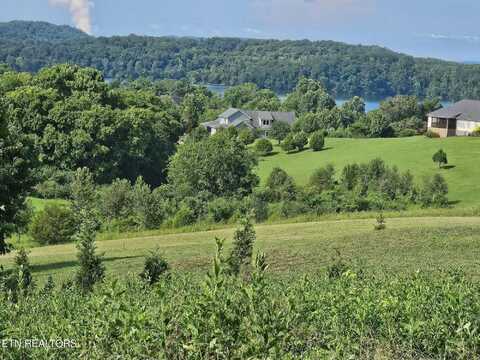 204 Majestic View Drive, Rockwood, TN 37854