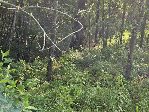 208 Majestic View Drive, Rockwood, TN 37854