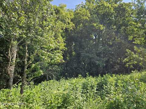 206 Majestic View Drive, Rockwood, TN 37854