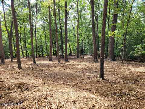 Lot 146 & 147 Lakeview Drive, Sharps Chapel, TN 37866