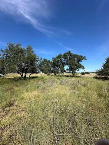 123 Lipan Loop, Harper, TX 78631