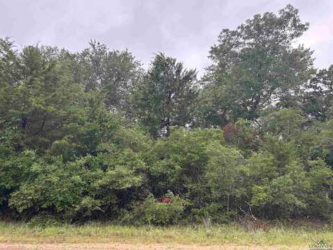 Tbd Overhill Circle, Out Of Area, TX 77871
