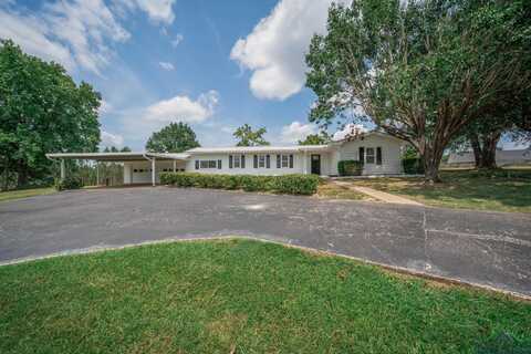 13339 State Highway 154 E, Diana, TX 75640