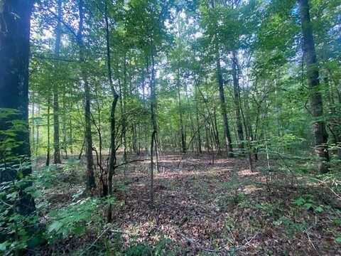 0 WINDWOOD DRIVE, LANETT, AL 36863