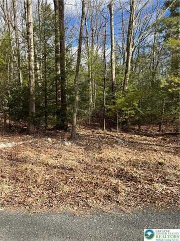 3121 Holiday Drive unit: 2606, Coolbaugh Twp, PA 18346