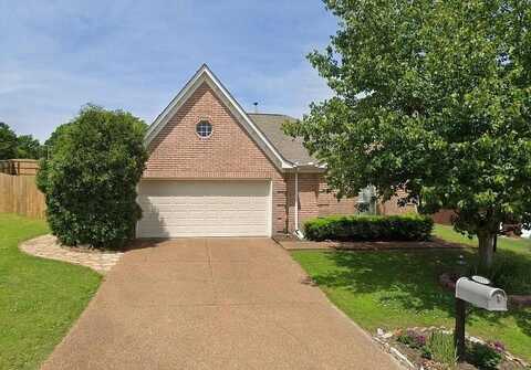 1117 DOVE HOLLOW, Memphis, TN 38018