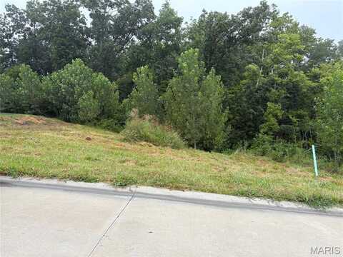 321 Watermill Drive, Washington, MO 63090