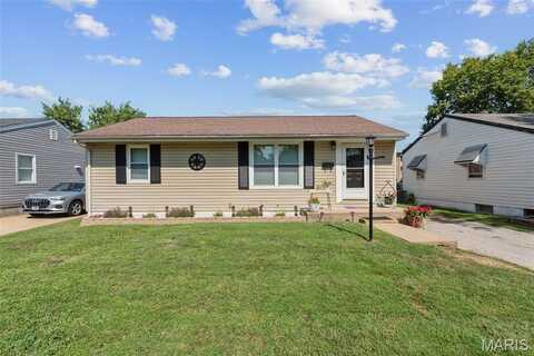 7129 Leona, Saint Louis, MO 63116