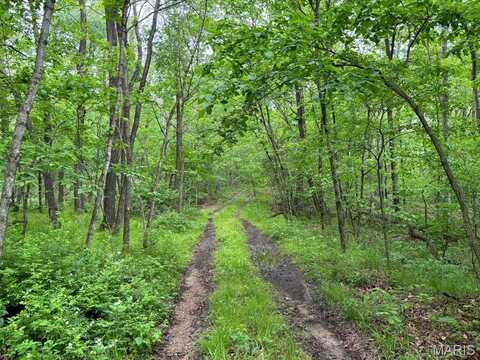 13 Monroe Road 647, Santa Fe, MO 65282