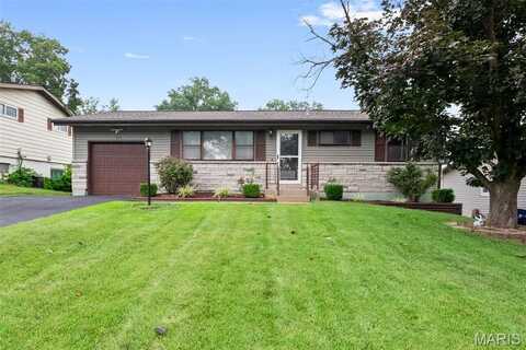 215 Martigney Drive, Unincorporated, MO 63129