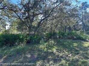7403 Puerta Street, Sebring, FL 33872