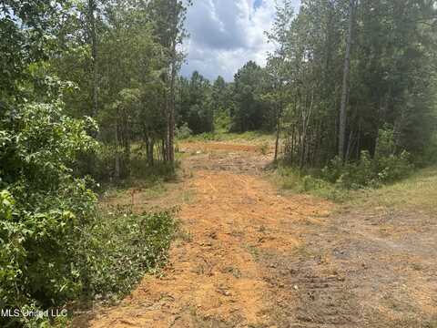 198 Beaver Dam Road, McHenry, MS 39561
