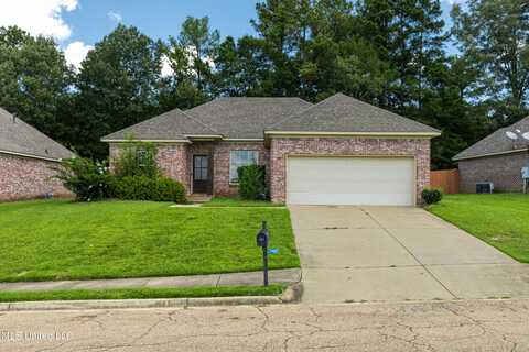 447 Silver Hill, Pearl, MS 39208