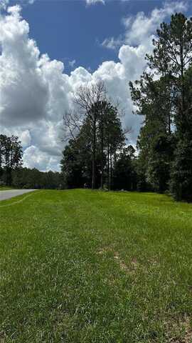 35001 PINEGATE TRAIL, EUSTIS, FL 32736