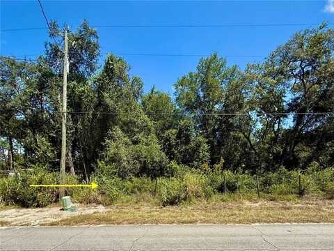 Lot 12 LAKE DRIVE, EUSTIS, FL 32736