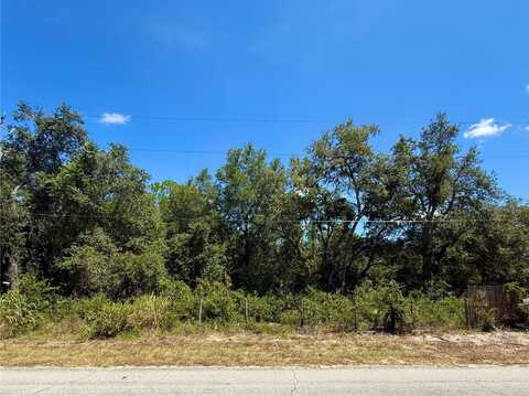 Lot 12 LAKE DRIVE, EUSTIS, FL 32736
