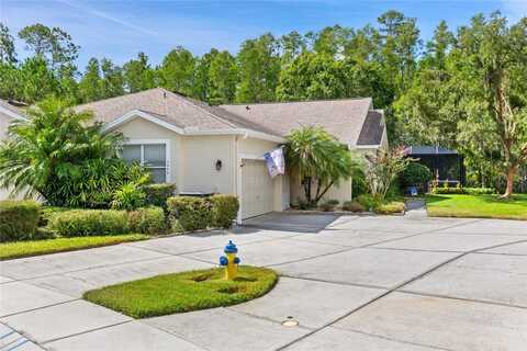 7239 CLEOPATRA DRIVE, LAND O LAKES, FL 34637