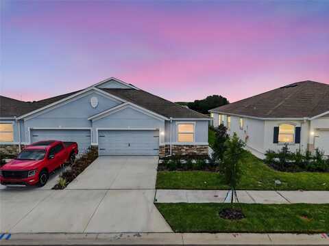 31463 PAPER BIRCH STREET, WESLEY CHAPEL, FL 33545