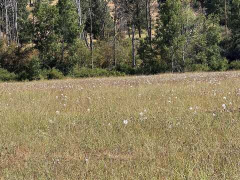 Bennie Lane, Chiloquin, OR 97624