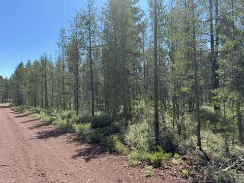 Munson Drive, Chiloquin, OR 97624