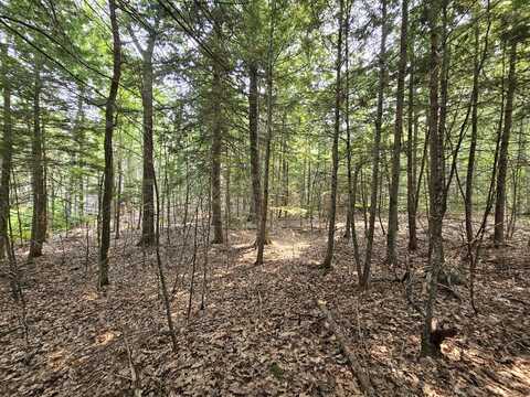 0 Gould Road, Orono, ME 04473